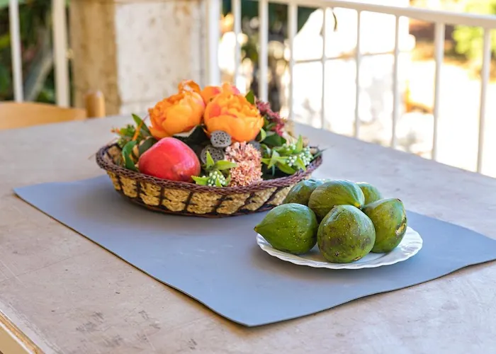 Italo - Wine Tasting - Parking Car *