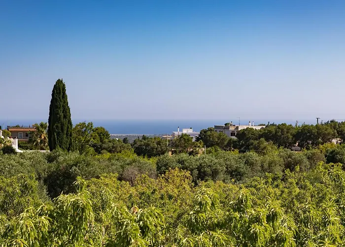 Italo - Wine Tasting - Parking Car Villa *